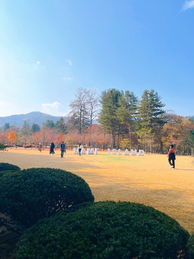 22개월 아기와 함께 다녀온 단풍이 너무 예쁜 가을의 남이섬... 