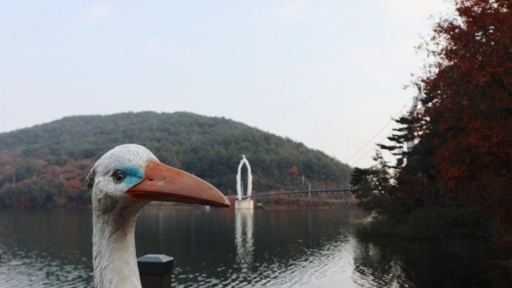 서동요 테마파크, 출렁다리 부여 언택트 여행지