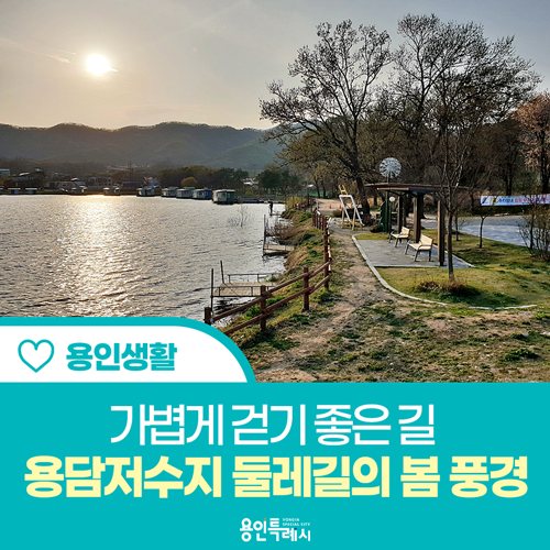 [용인 생활] 가볍게 걷기 좋은 길, 용담저수지 둘레길에 찾아온...