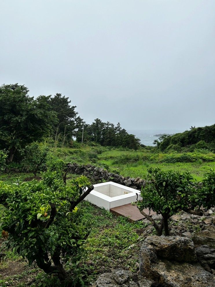 [제주도펜션] 제주 감성숙소, 서귀포 신축 독채 펜션 제주 그믐...