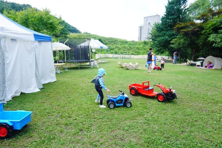 용인 로앤플라워 동물체험 가능한 수영장카페