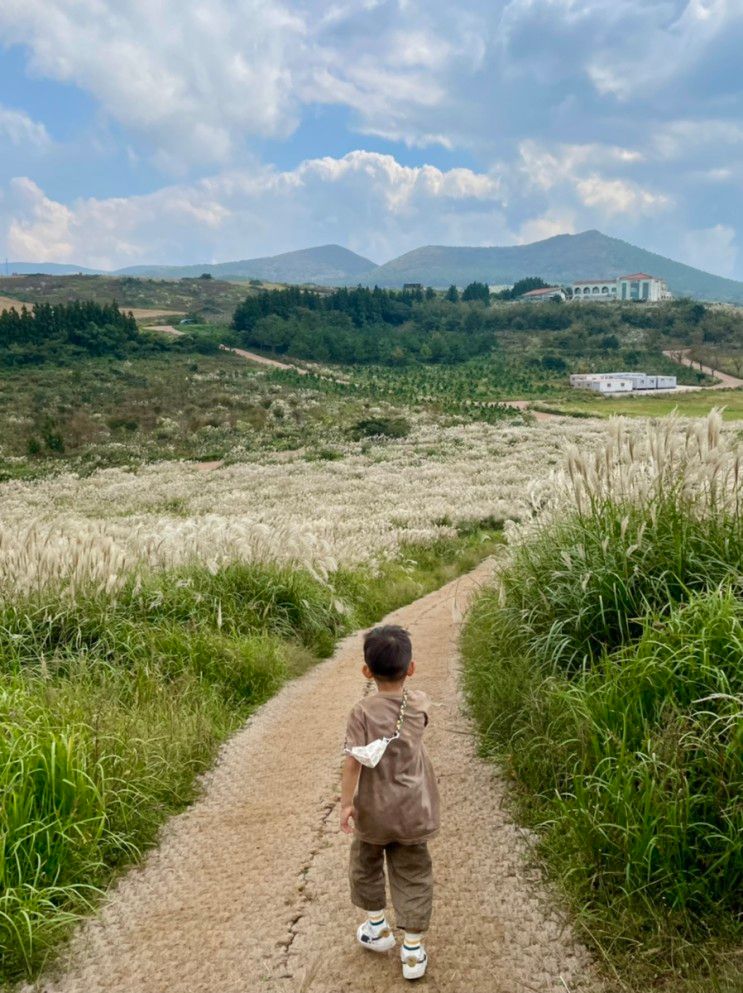 5살 아이와 제주도 한달살기 8일차 - 새빌카페, 새별오름, 하루봉, 선채향, 사계해변, 미카의달콤한작업실