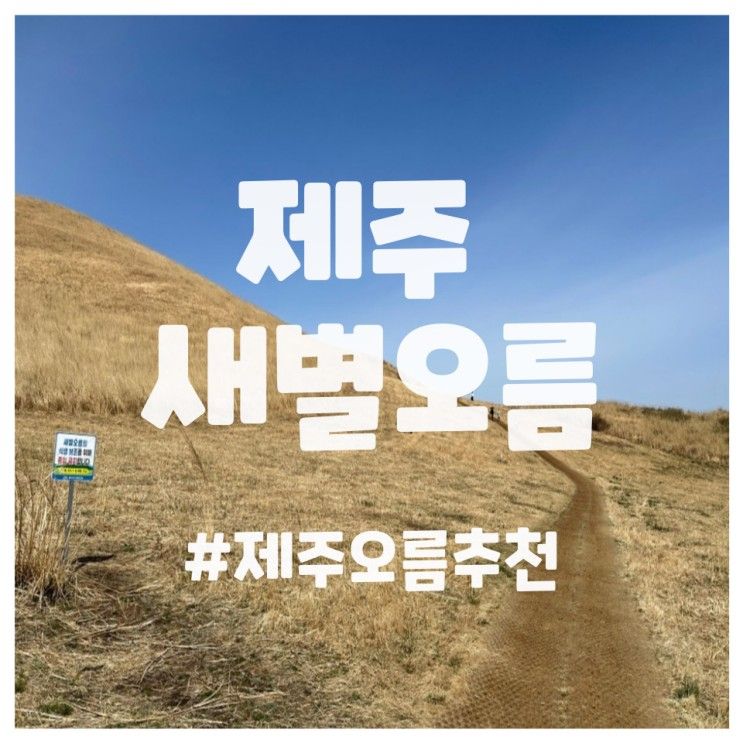 제주도새별오름,제주애월가볼만한곳,제주새별오름코스