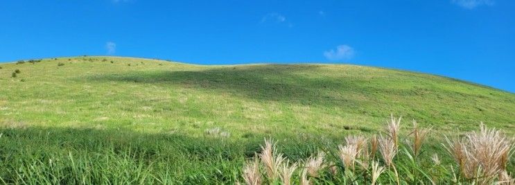 제주가을여행, 제주오름추천 새별오름