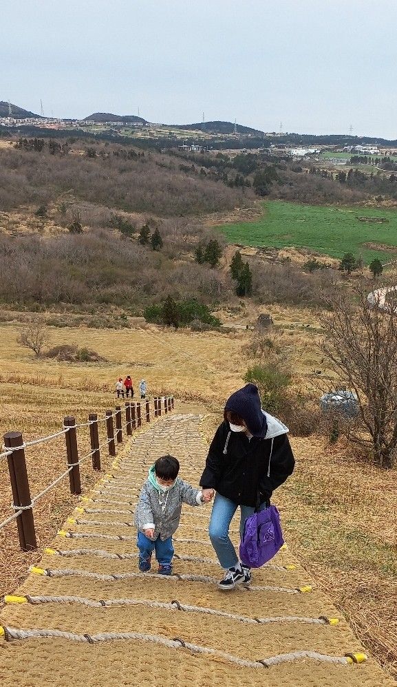 아이와 제주도 여행 첫날 : 새별오름