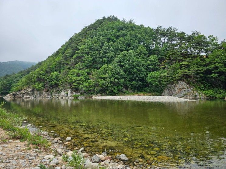 캠핑 #14) 호민이네 캠핑 ② - 양양 하조대커피, 수라상...