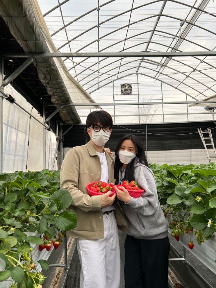 온도여행 : 온도커플 여주 피크니코 딸기체험