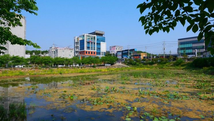 대구근교 여행 가볼만한곳 : 영천 우로지 자연생태공원