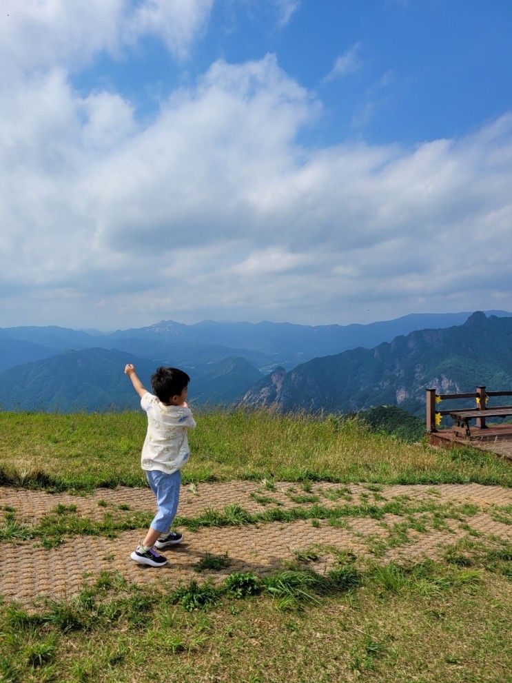 아이와 즐거운 문경여행_ 1DAY 문경단산모노레일