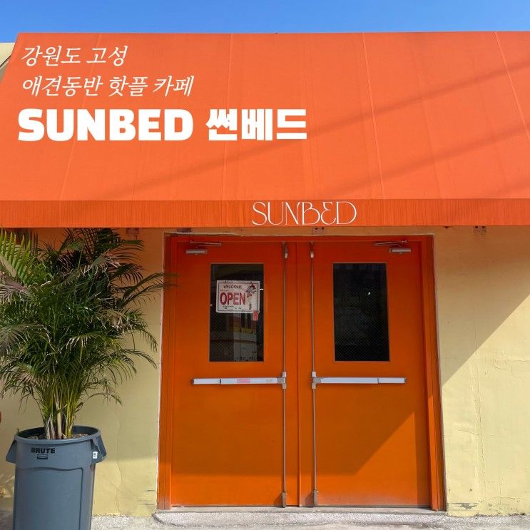 [강원도 고성] 대진 핫플 애견동반 카페 썬베드(SUNBED)...