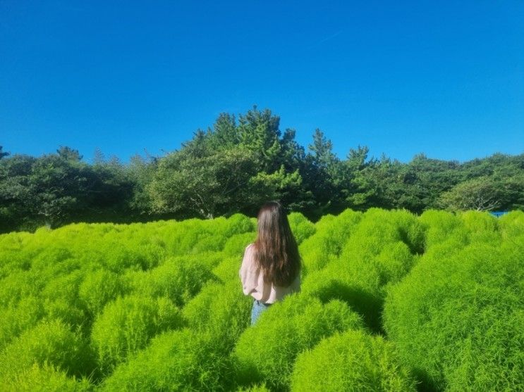 제주민속촌, 초등 아이와 제주 뚜벅이 여행