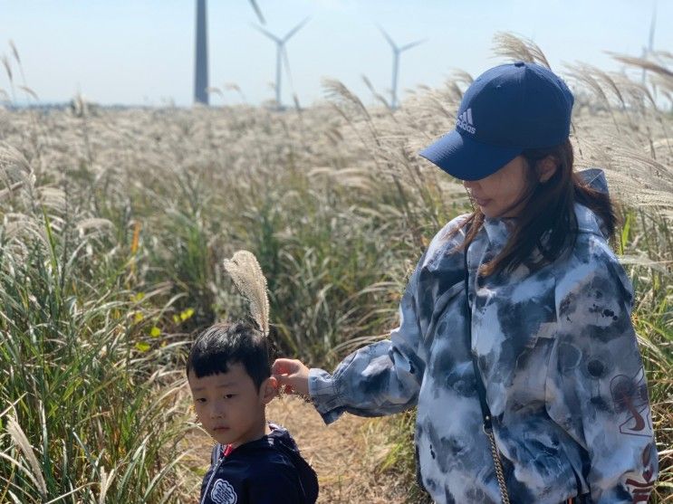 7살 아이랑 제주도 한달살기_DAY 7 [유채꽃프라자] 제주 가을에...