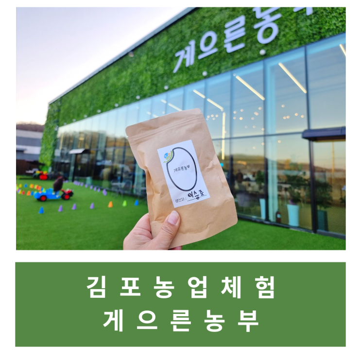 [육아/내돈내산] 김포 게으른농부 농업체험