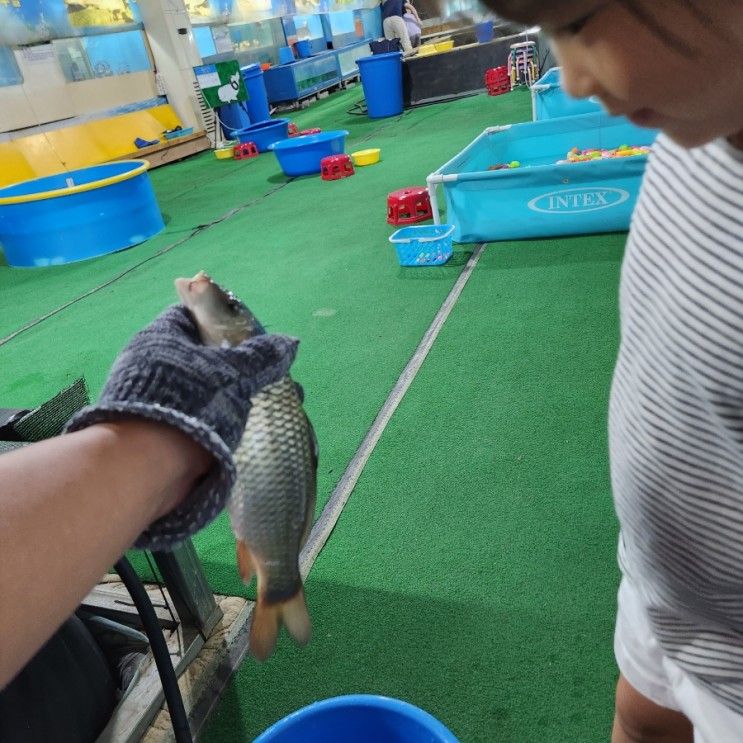 대구근교 아이랑 실내 체험 '구미 물고기나라'