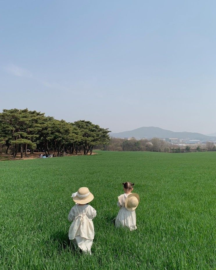 용인 목장체험 : 농도원목장