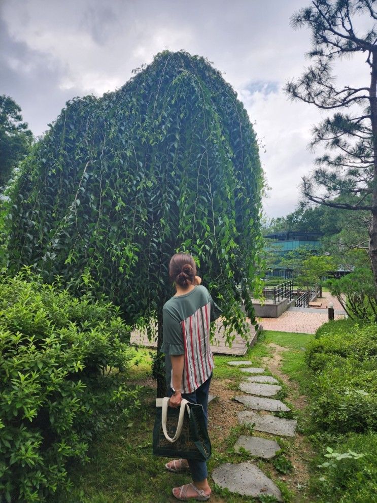 [의정부 카페] 오크힐커피 빵공장, 야외 정원 산책하기 좋은...