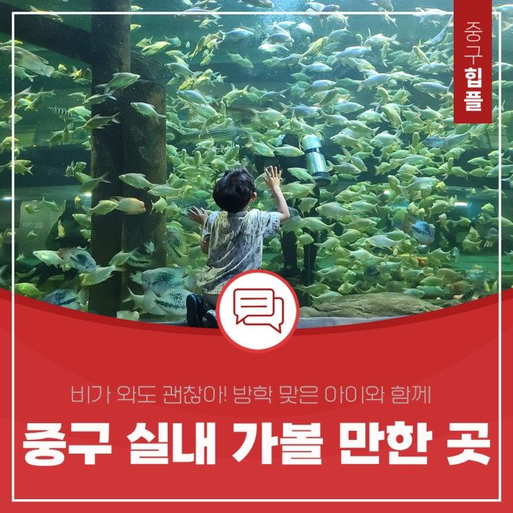 추천(대전아쿠아리움, 산성어린이도서관, 대전근현대사전시관)