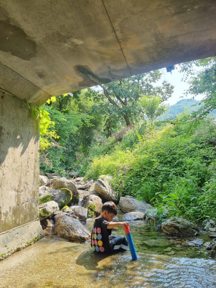 [서울근교] 남양주 팔현계곡