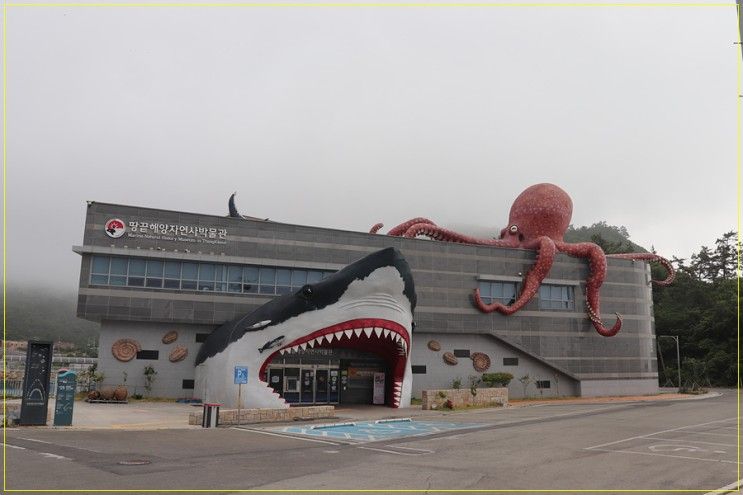 땅끝해양자연사박물관 - 땅끝마을과 같이 가볼만한 해양 박물관