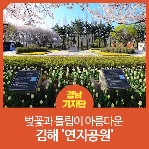 김해 / 김해 랜선 여행] 벚꽃과 튤립이 아름다운 김해 '연지공원'