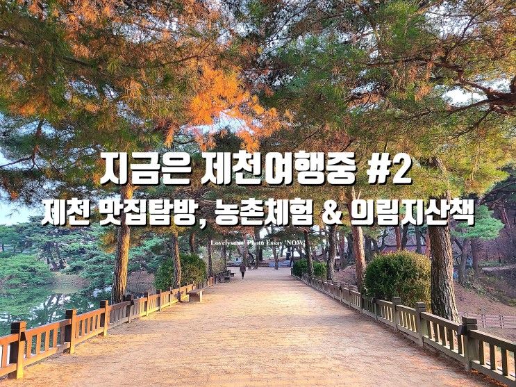 제천 가볼만한곳 의림지 산책, 제천 베이커리카페 쁘띠샹들리에