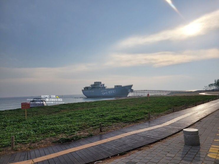 영덕 아이와 가볼만한곳 노지... 장사상륙작전 전승기념관