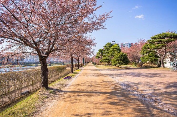 영주 도심 속 힐링 산책 여행 코스 추천, 서천둔치 ~ 삼판서고택