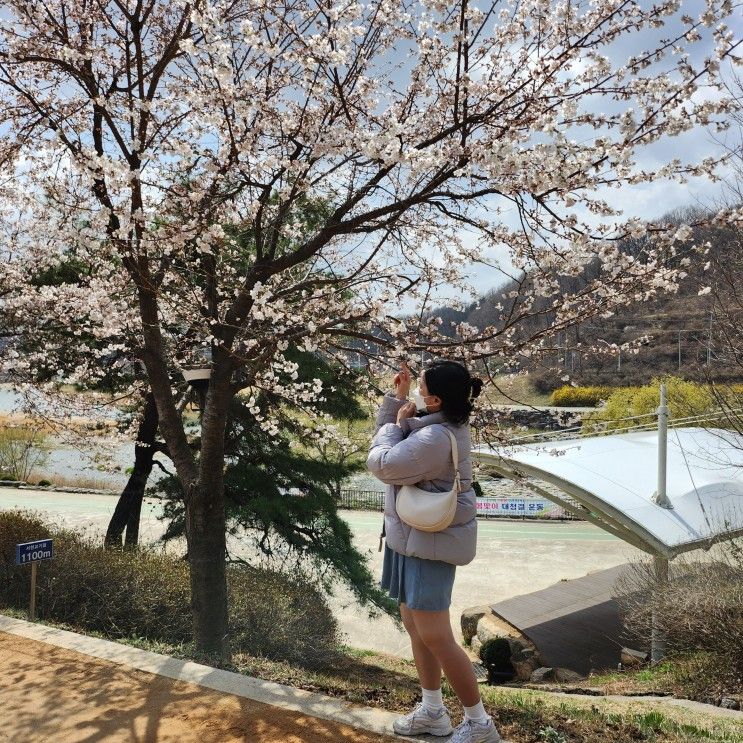 볼거리] 영주 꽃 나들이(2/4)_서천둔치 근린공원, 삼판서 고택