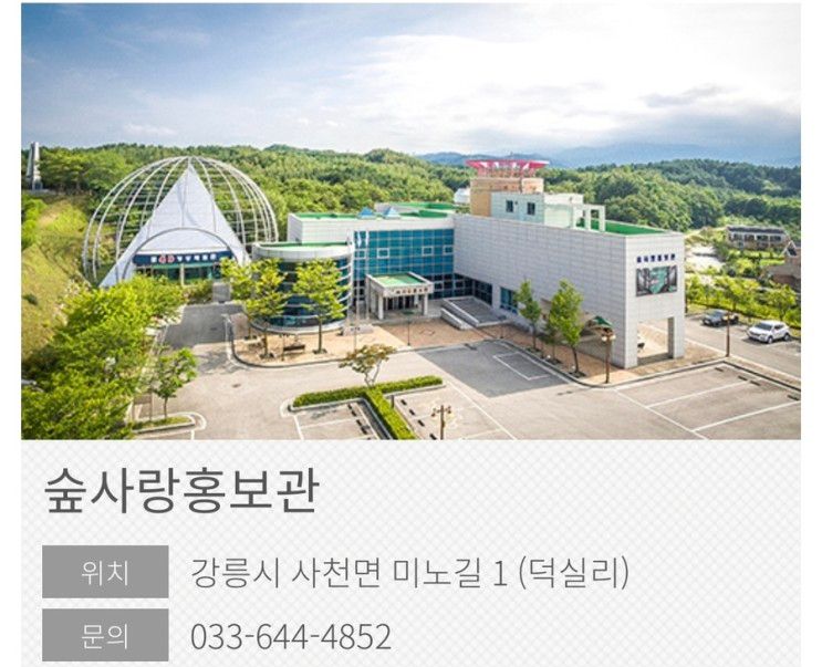 H-BTS 강릉 오죽한옥마을, 연곡해변솔향기캠핑장... 