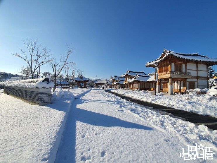 강릉 오죽한옥마을, 죽헌저수지 설경