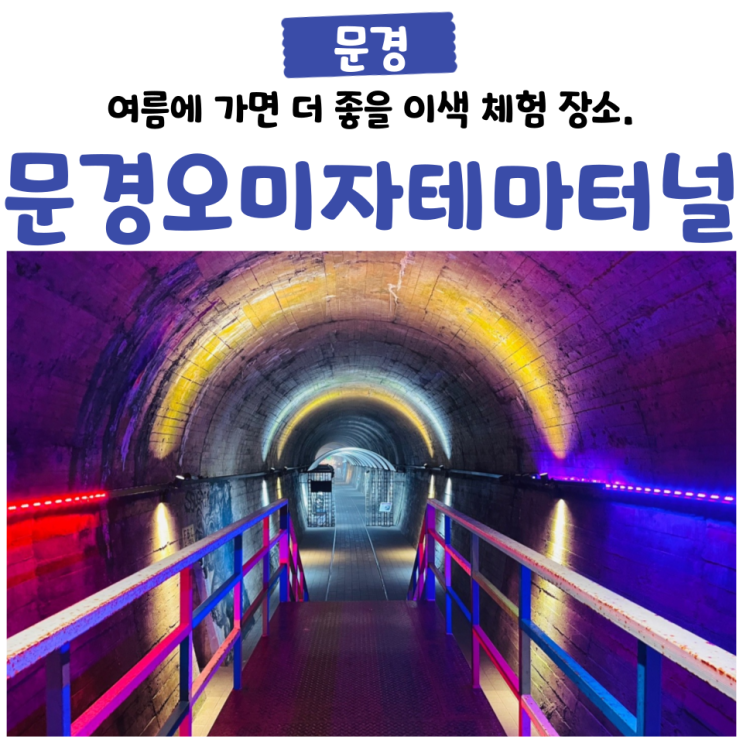 문경 오미자 테마터널, 여름에 가면 더 좋을 이색 장소. 문경...