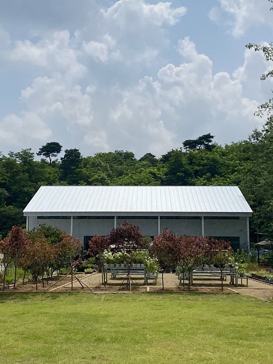 용인 카페/서울 근교 식물 카페 :: 정원생활/정원생활...