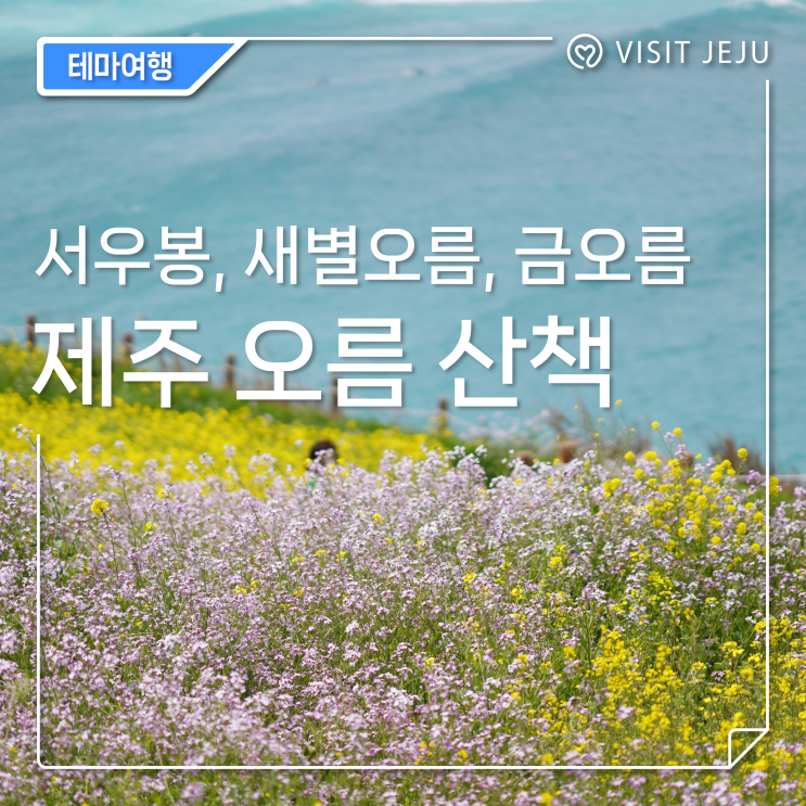 제주 오름 추천[함덕 서우봉, 새별오름, 금오름]