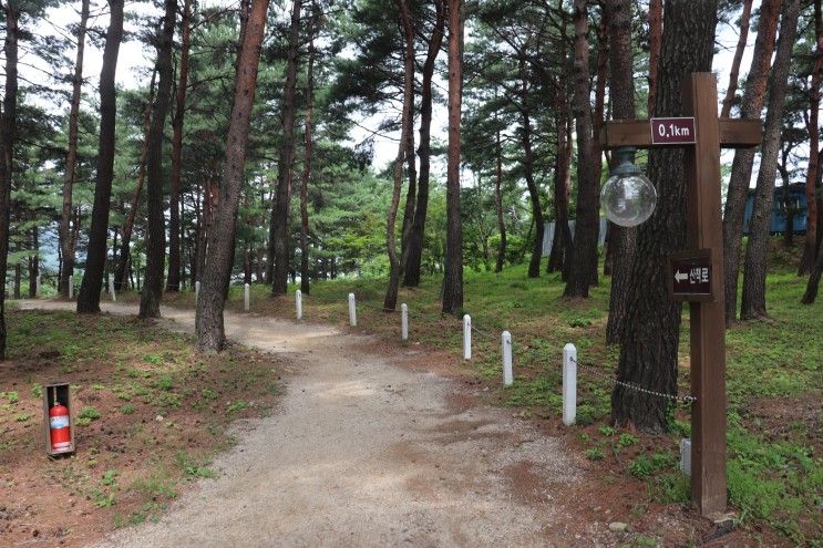 속초 척산온천휴양촌 힐링숲 산책좋아요