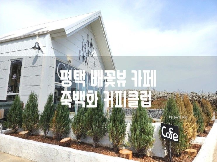 평택 배꽃뷰 카페 죽백화 커피클럽 커피&디저트 맛집