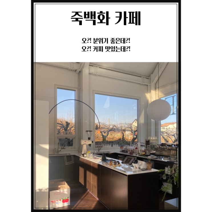 [카페] 평택 죽백화 커피 클럽 (Feat. 죽백동 용이동 용죽지구...