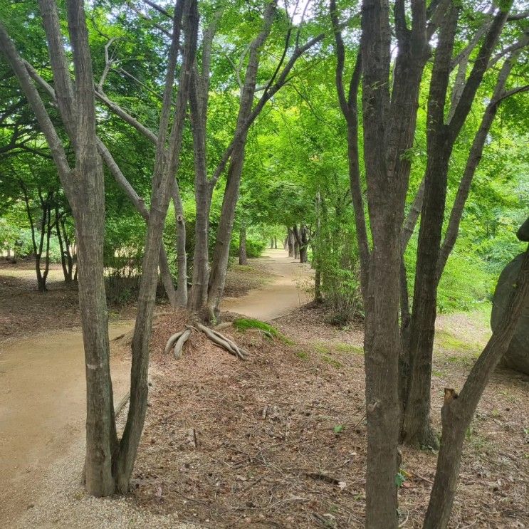 [속초]척산온천휴양촌