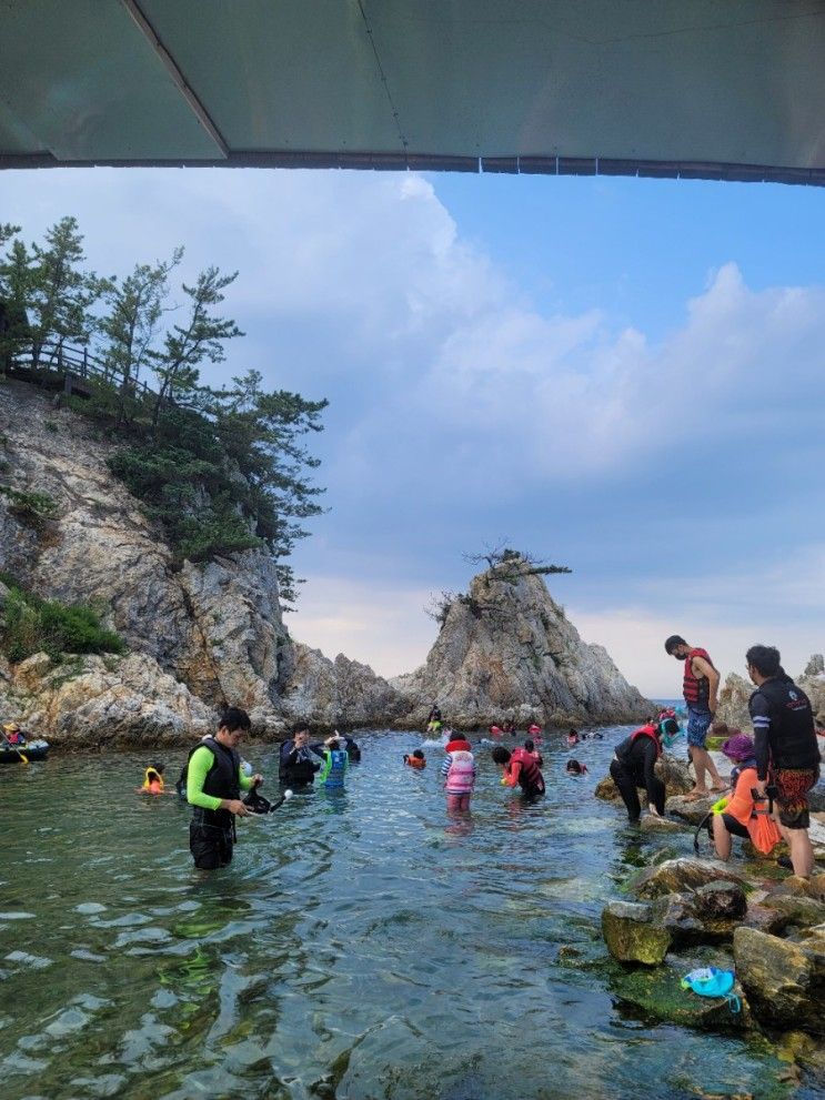 삼척 장호항 스노쿨링 : 장호어촌체험마을