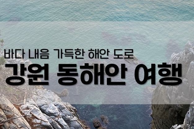 수산시장, 장호어촌체험마을, 원평해수욕장, 삼척...