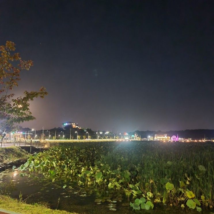 경산 "경산명품대추테마공원... 곳 산책로 연꽃단지 대추공원