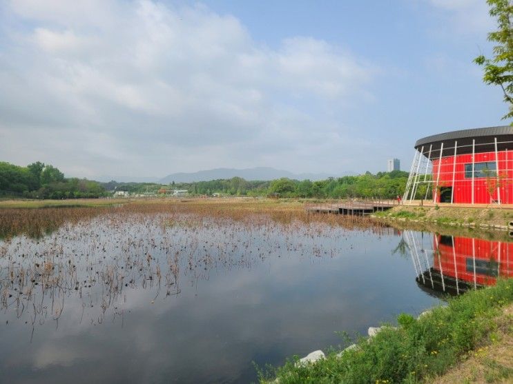 [경산]경산명품대추테마공원 숨은명소 발견!