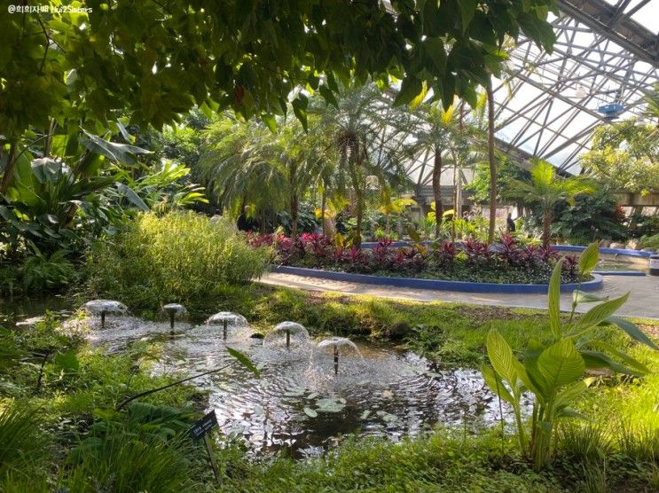 여미지 식물원 3탄(물의 정원, 꽃의 정원)