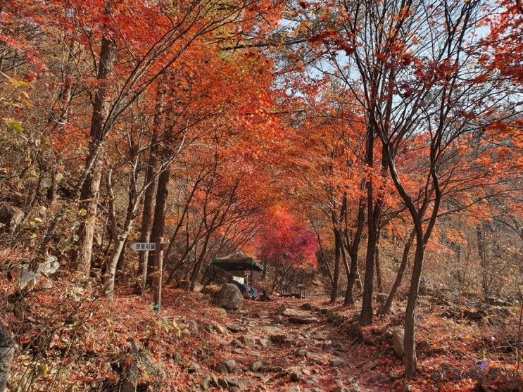 명성산 삼각봉, 가성비 끝판왕 산정호수 새로운꿈 펜션(내돈내산)