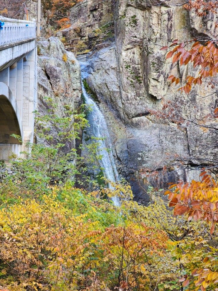 주왕산 국립공원 ᆢ달기폭포ᆢ울긋 불긋 단풍으로ᆢ22.10.29