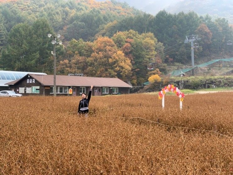 무주 덕유산 곤돌라 이용권, 향적봉 등산여행