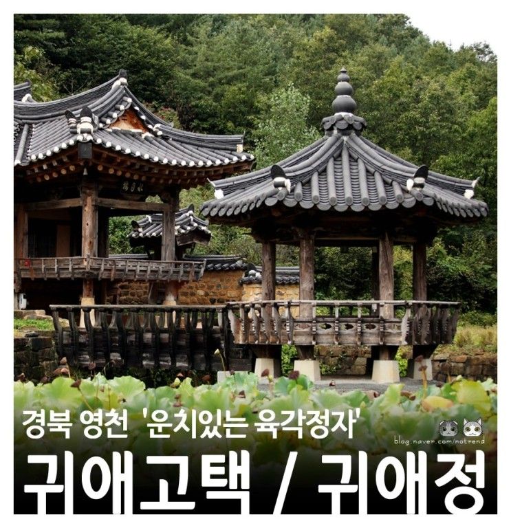 여행 :: 귀애고택, 나무다리가 있는 육각정자. . . 귀애정...