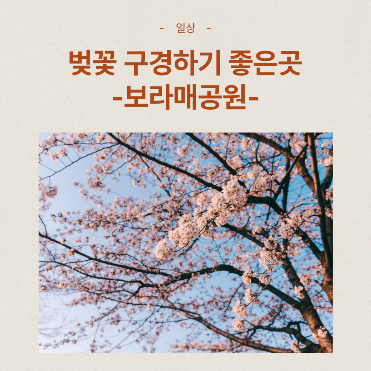 서울 관악구 보라매공원 벚꽃구경하기 좋은곳!
