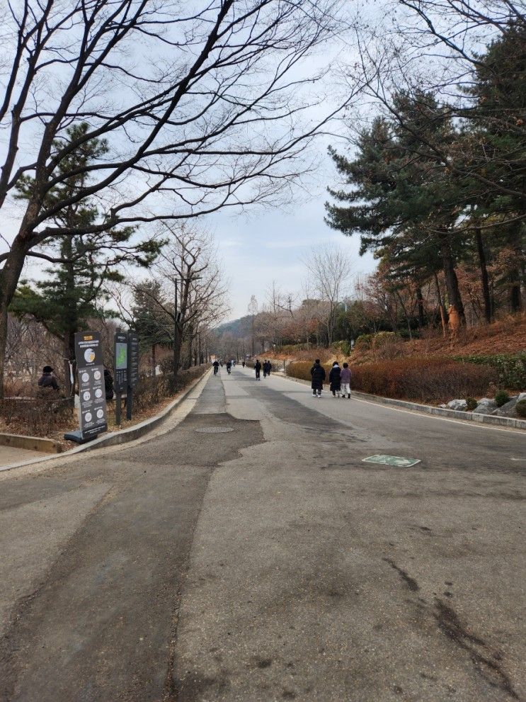 서울 보라매공원 둘레길 - 강아지와 함께 산책하기 좋은 곳... 