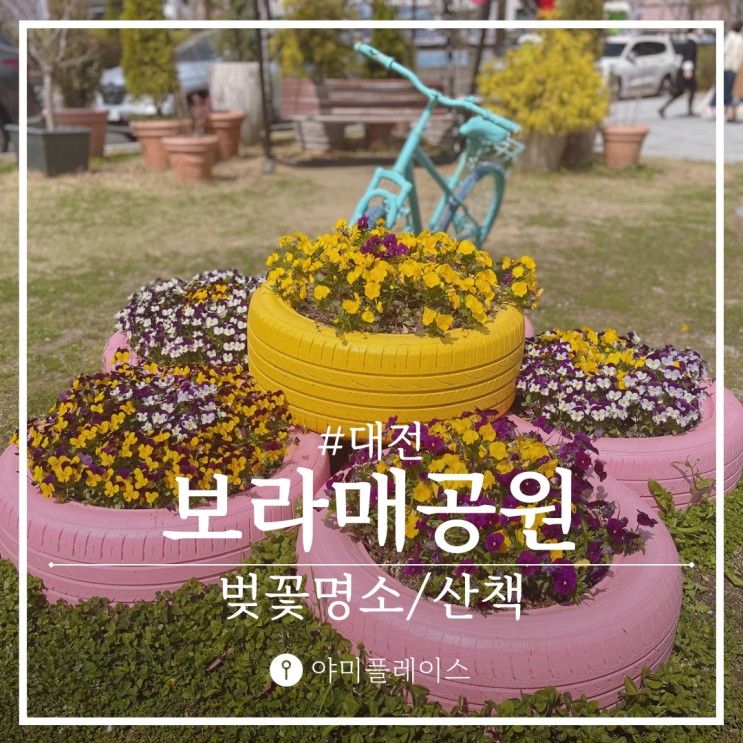 대전 산책로 공원 꽃들이 아름다운 보라매공원