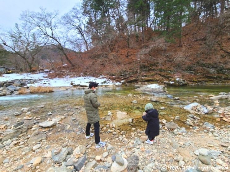 강원도 아이랑 가볼만한 곳 홍천 러스틱라이프 카페, 수타사